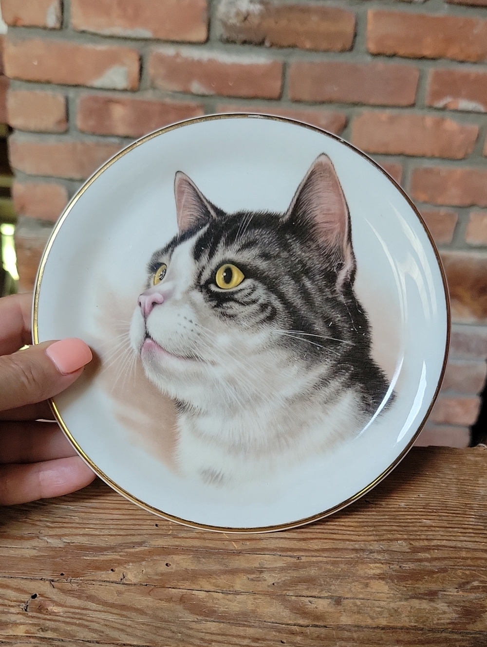 CROWN BONE CHINA Decorative Grey Tabby Cat Portrait Decorative Plate